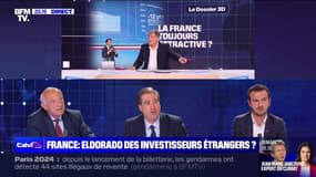 La France : Eldorado des investisseurs étrangers ? - 11/05