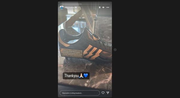 Le trophée remis par les supporters d'Everton à Erling Haaland Le trophée remis par les supporters d'Everton à Erling Haaland