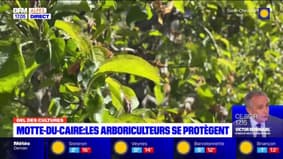 Motte-du-Caire: les arboriculteurs se protègent contre le gel