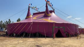 Le cirque Medrano s'est installé le 25 juillet dernier à Grimaud.