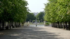 Jardin du Luxembourg. 