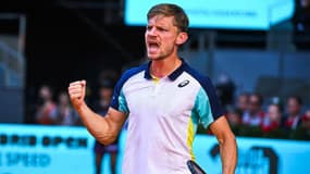 D. Goffin