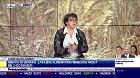 Christiane Lambert (FNSEA): Guerre en Ukraine, la filière alimentaire face à un choc majeur - 04/03