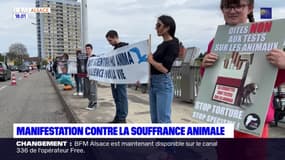 Strasbourg: une manifestation contre la souffrance animale au pont de l'Europe