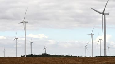 Les objectifs fixés par la loi sur la transition énergétique sont loin d'être atteints.