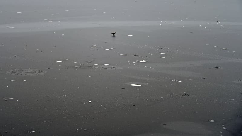 Tombés dans l'eau glacée d'un lac au Royaume-Uni, trois enfants sont morts (photo d'illustration)