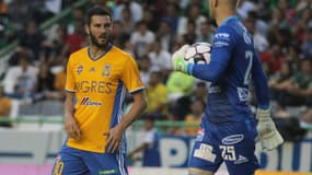 André-Pierre Gignac 