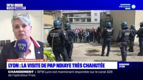 Visite perturbée de Pap Ndiaye à Lyon: la députée Renaissance du Rhône dénonce des "actes regrettables"