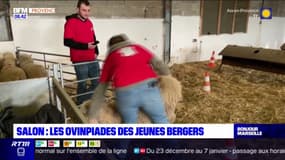 Salon-de-Provence: des élèves berger se préparent aux Ovinpiades, concours national qui regroupe 800 personnes