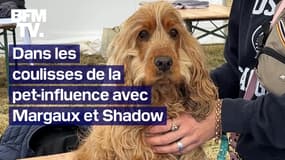  Dans les coulisses de la pet-influence: rencontre avec Margaux et son chien Shadow 