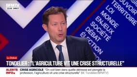 "Nous continuerons de nous battre contre ce traité du Mercosur", déclare François-Xavier Bellamy (vice-président des Républicains)
