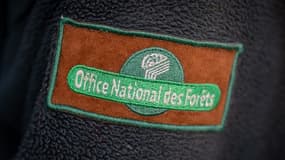 Face aux risques d'incendie, l'Office National des Fôrets a renforcé ses contrôles.
