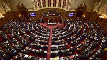 Le texte a été voté à main levée avec le soutien de la majorité sénatoriale (LR, centristes, Indépendants) et du groupe LREM. (image d'illustration)