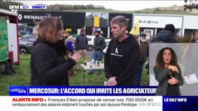"Ces accords sacrifient l'élevage pour vendre des voitures" : l'accord UE-Mercosur irrite les agriculteurs