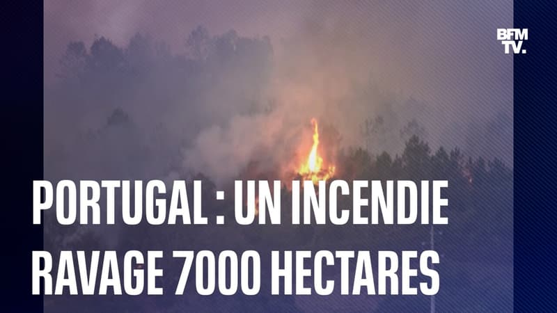 Incendie au Portugal: un millier de pompiers mobilisés et 7000 hectares ravagés