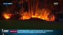 Incendie à Anglet: 100 hectares de pinèdes brûlés, feu maîtrisé mais les pompiers restent vigilants
