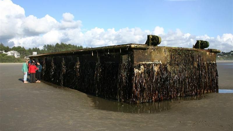 Un énorme ponton de 20 mètres de long qui s'était détaché lors du tsunami qui a frappé le Japon l'an dernier s'est échoué mardi sur une plage de l'Oregon. /Photo prise le 6 juin 2012/REUTERS/Oregon Parks and Recreation Department