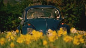 James May retrace l'histoire de la voiture populaire, de la Coccinelle, qui a créé le concept et promettait de la joie aux Allemands, à la Lada 2101, une Fiat revue et corrigée en URSS.