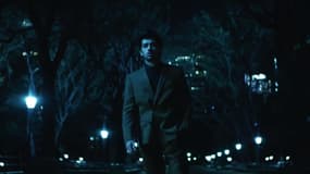 Zayn dans le clip de "A Whole New World"