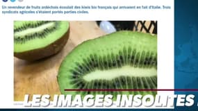 "L'escroc aux kiwis" condamné à 70 000 euros d'amende