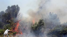 En 2007, l'île d'Evia avait déjà été la proie des flammes lors d'incendies ravageant la péninsule du Péloponnèse