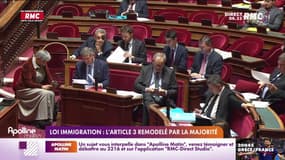 Loi immigration: l'article 3 remodelé par la majorité