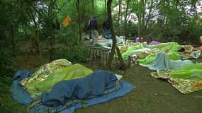 Délogés par les autorités, les migrants s’installent dans un bois parisien