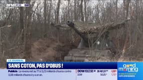 Sans coton, pas d'obus