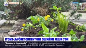 Lyons-la-Forêt obtient une deuxième fleur d'or 