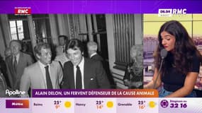 Alain Delon, un fervent défenseur de la cause animale
