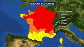 Les pollens de bouleaux, présents sur la majeure partie du territoire, seront particulièrement virulents en Île-de-France