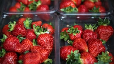 Des fraises - Image d'illustration
