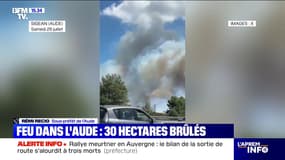 Incendie dans l'Aude: "30 hectares ont été parcourus par le feu", affirme Rémi Recio, sous-préfet de l'Aude
