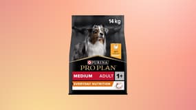 Ce sac de croquettes pour chiens de grande marque profite d'une remise sur ce site