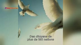 Une campagne de recrutement de la Scientologie dans le viseur de la Miviludes