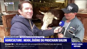 Salon de l'Agriculture: qui est Neige, l'égérie de l'édition 2022 ? BFMTV répond à vos questions
