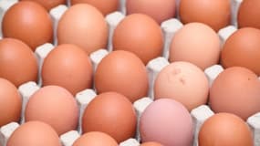 Oeufs contaminés: distributeurs et industriels se renvoient la responsabilité