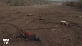 Guatemala: de nouvelles images montrent à présent un paysage où la vie a disparu