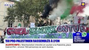 150 pro-Palestinien rassemblés à Lyon