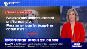 Peut-on aller récupérer des animaux en élevage pendant le confinement? - BFMTV répond à vos questions