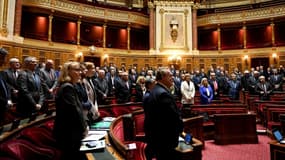 Les sénateurs français en novembre 2019 (illustration)