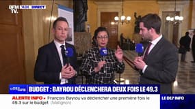 Vote du budget: "Que François Bayrou passe en force avant même qu'il y ait eu le débat dans cet hémicycle, c'est inquiétant", déclare Thomas Ménagé (RN)