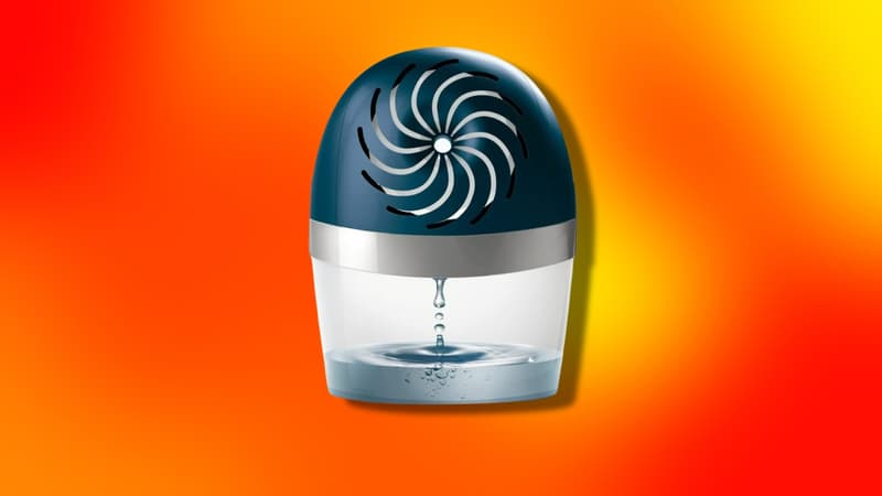 Numéro 1 des ventes, ce déshumidificateur est un best-seller sur Amazon : dites adieu à l'humidité
