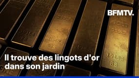 700.000 euros de lingots d’or: un homme trouve un trésor en creusant sa piscine 