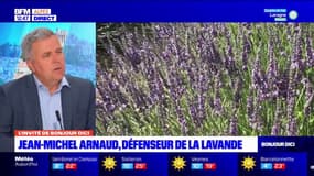 Le sénateur Jean-Michel Arnaud a proposé une résolution pour défendre la filière des huiles essentielles de lavande