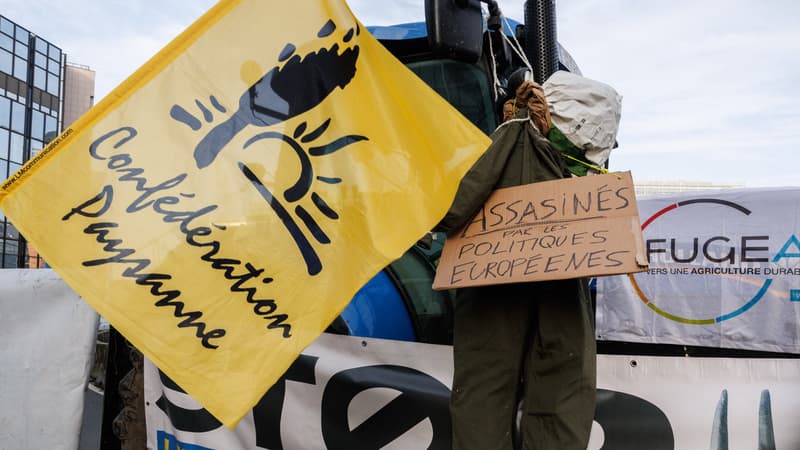 Un drapeau de la Confédération paysanne lors d'une manifestation contre l'accord entre l'Union européenne et le Mercosur le 13 novembre 2024 à Bruxelles (Belgique).