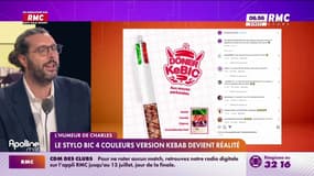L'humeur de Charles : Le stylo Bic 4 couleurs version kebab devient réalité - 16/06