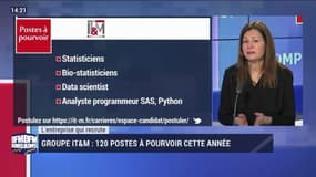 L'entreprise qui recrute: 120 poste à pourvoir cette à année au sein du groupe IT&M - 29/02