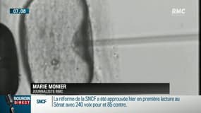 Bioéthique: les Français restent très divisés sur la PMA et la fin de vie 