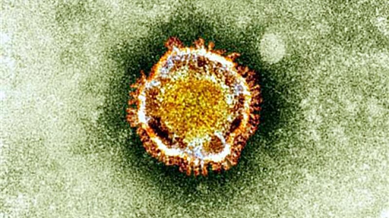 Le coronavirus vu au microscope - Image d'illustration